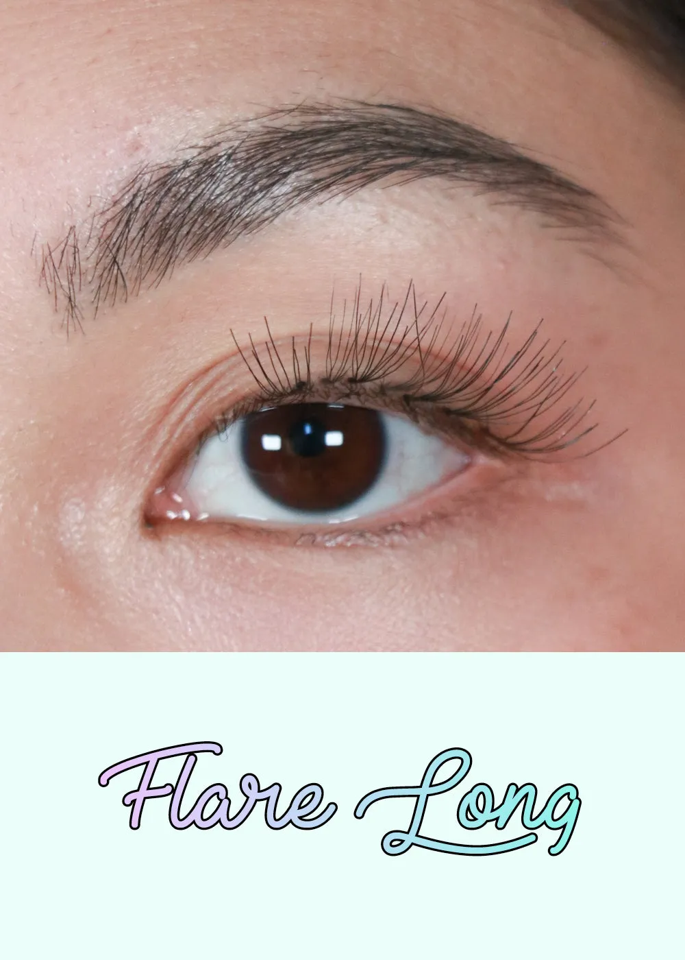 AOA Studio Eyelashes - Flare Long