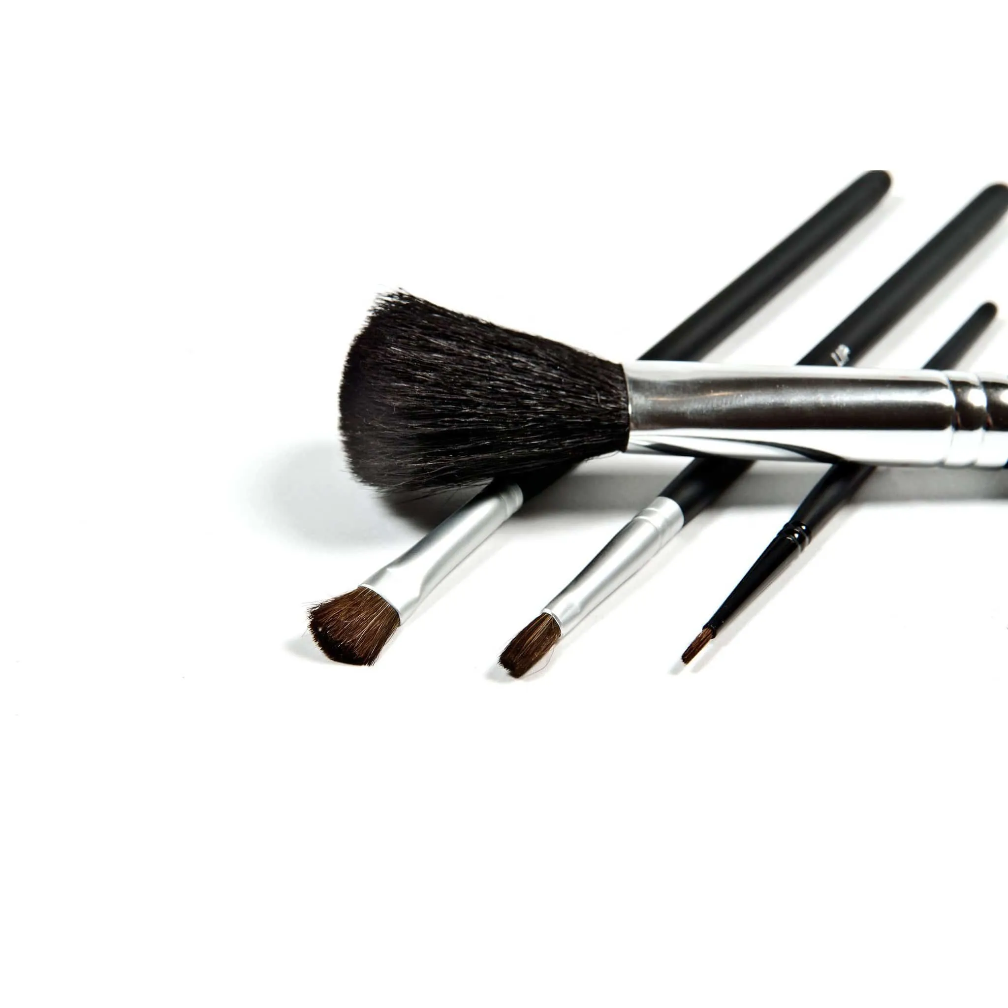 Danyel' Professional Cosmetics Brush Collection