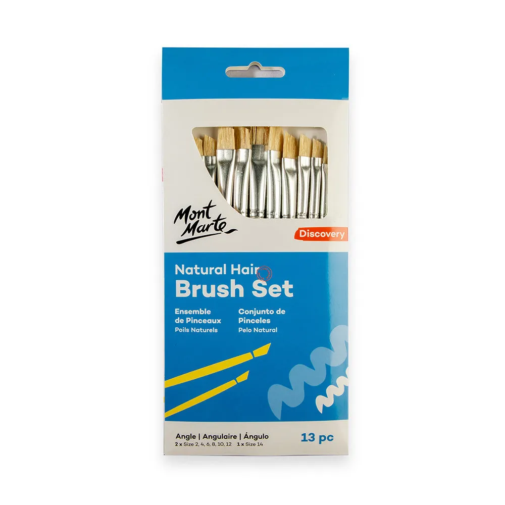 Natural Hair Art Brush Set Angle Discovery 13pc