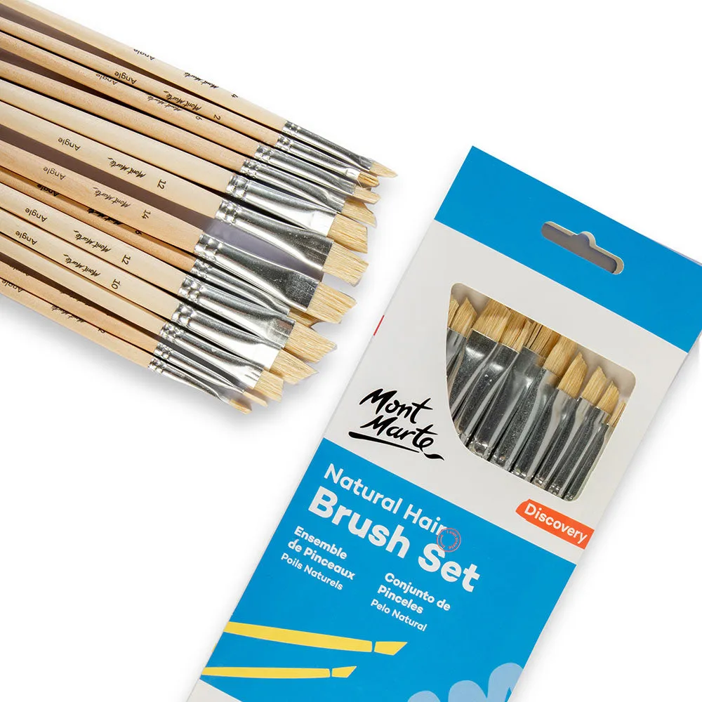 Natural Hair Art Brush Set Angle Discovery 13pc