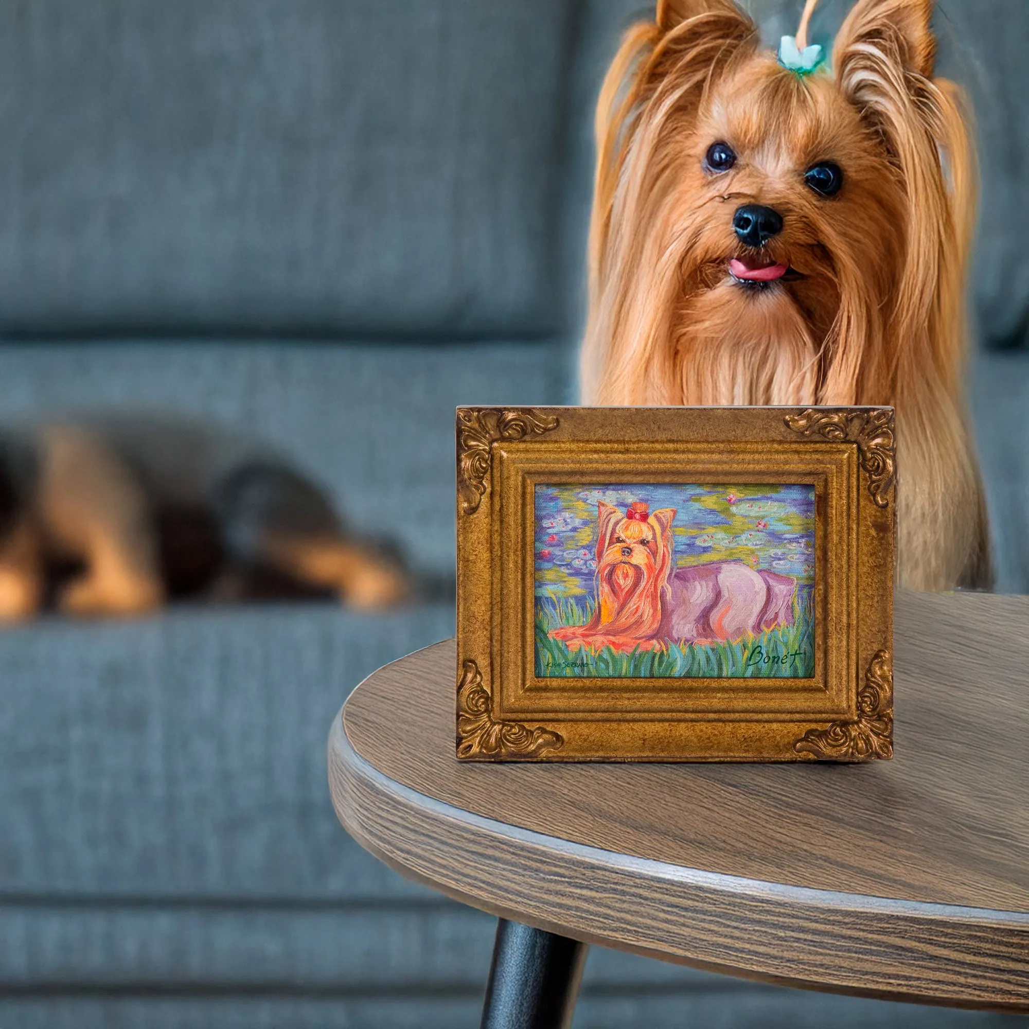 Yorkshire Terrier Bonet - 3.5" x 5" Framed Canvas